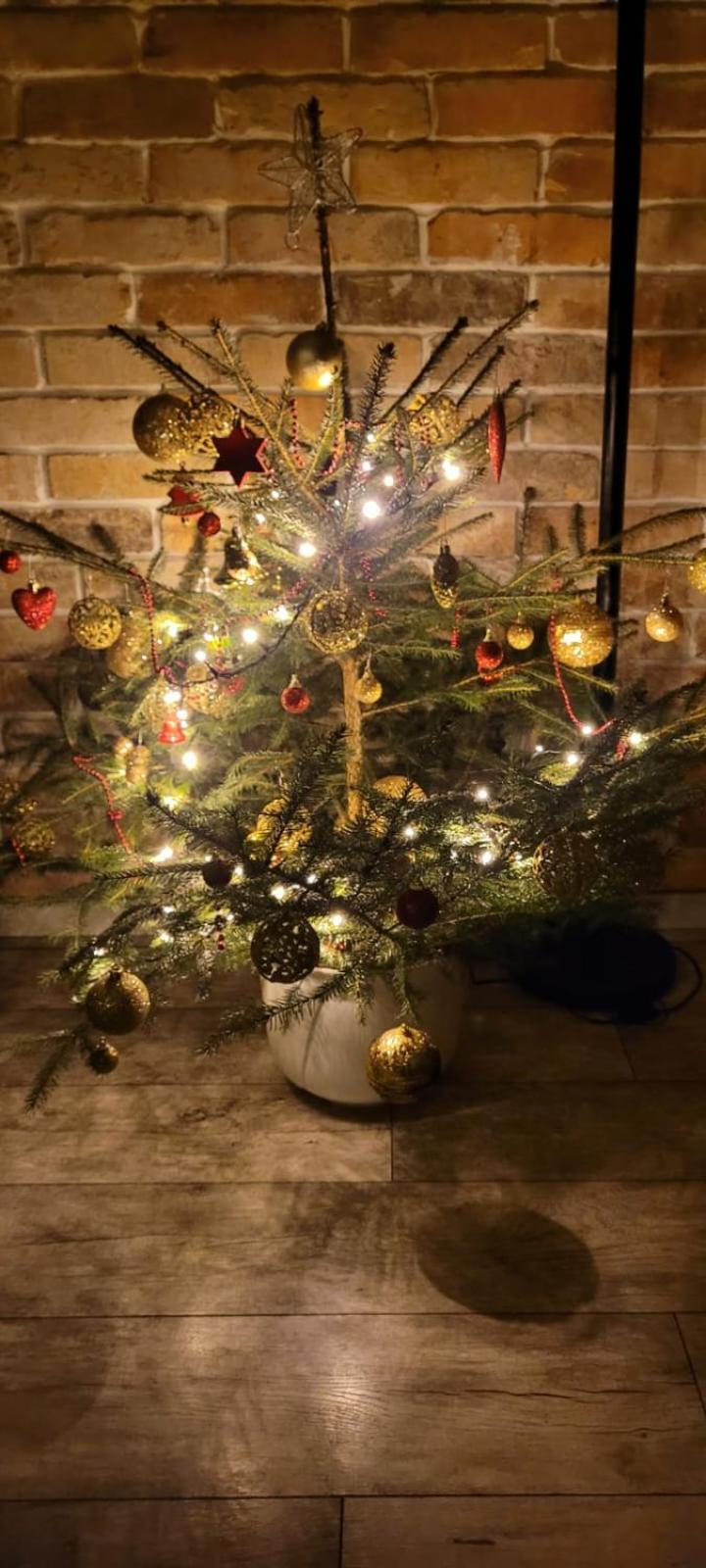 Domek Na Pagorku Lwowek Slaski Zewnętrze zdjęcie